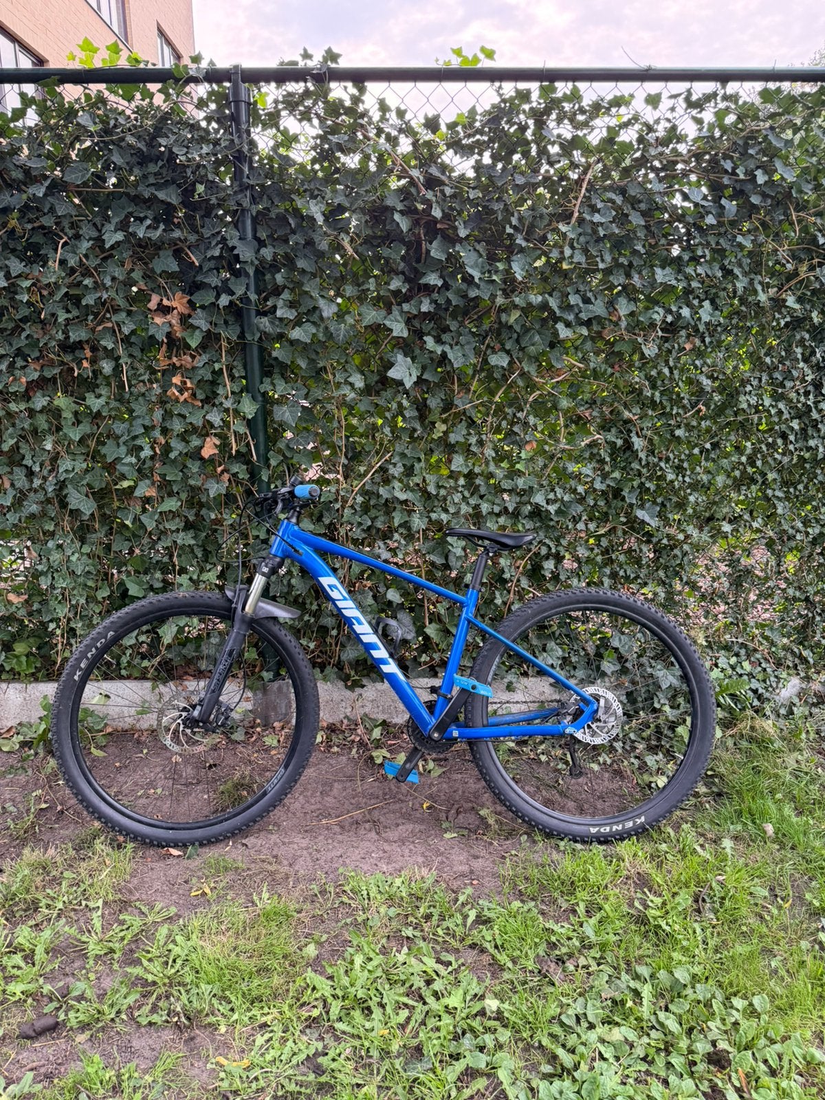 Giant talon 29inch M fiets, Ophalen, Giant