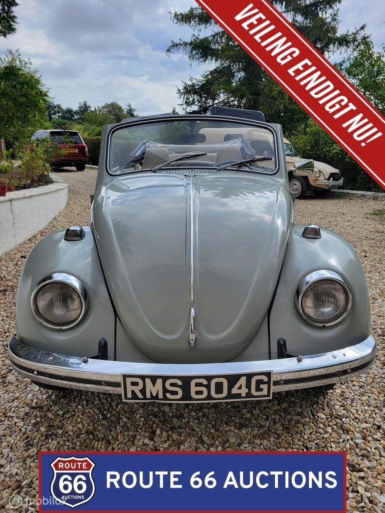 Volkswagen Beetle 1500 | 1969 | Route 66 Auctions, Autos, Achat, Entreprise, Autre carrosserie, Essence