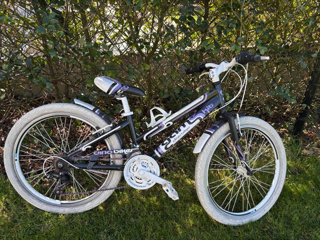 Kinderfiets 8jaar, Enlèvement