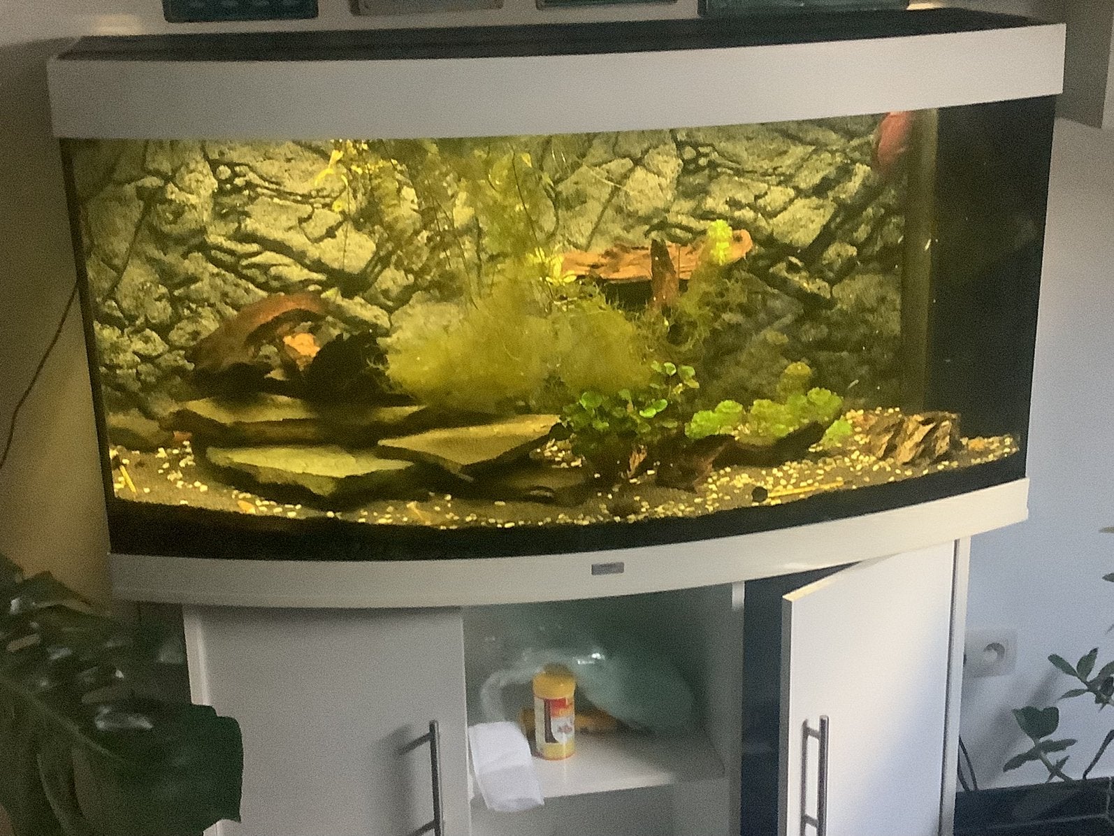 Juwel vision, Dieren en Toebehoren, Ophalen, Zo goed als nieuw, Juwel