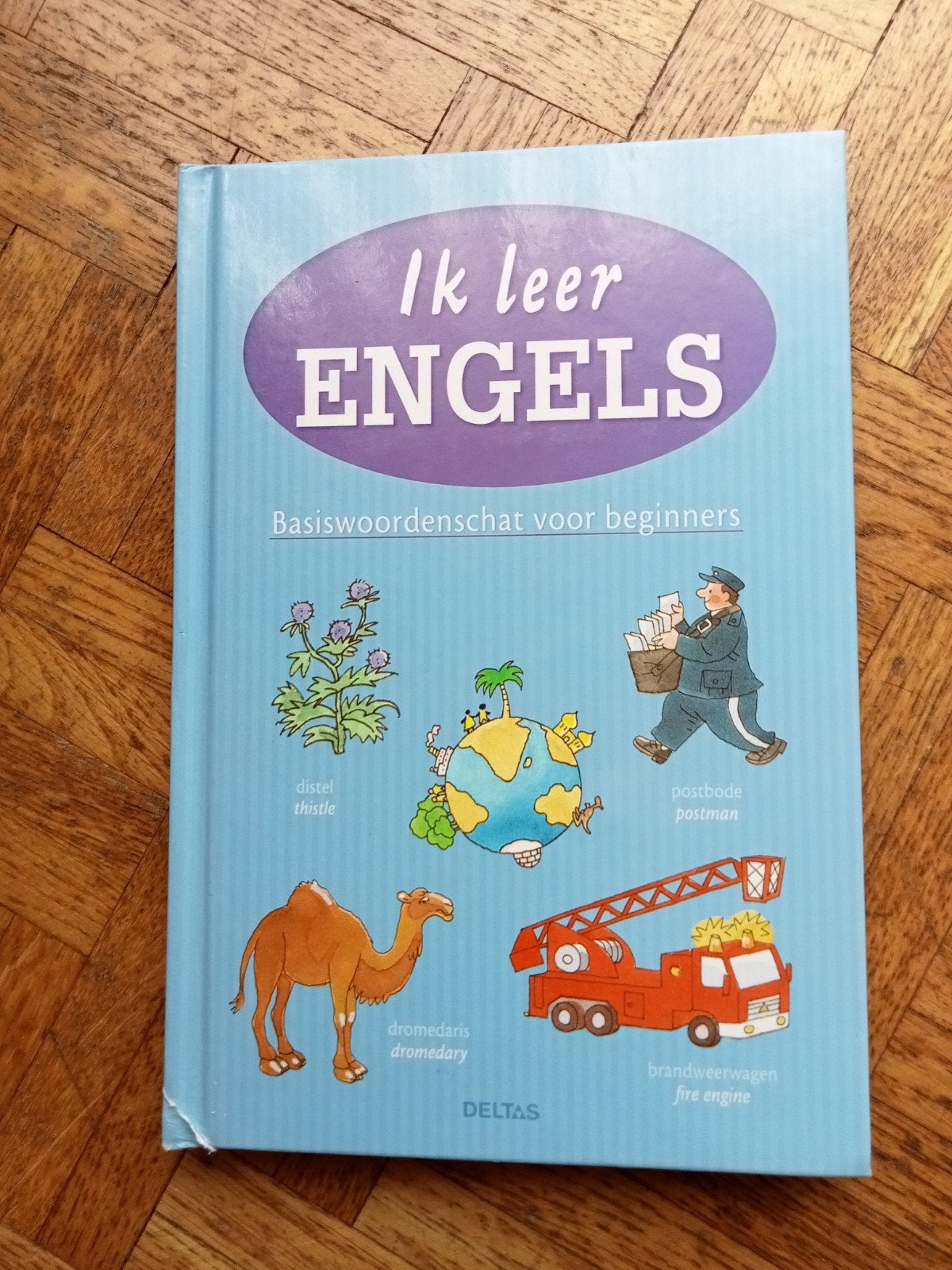 Ik leer Engels: Basiswoordenschat voor beginners, Boeken, Studieboeken en Cursussen, Ophalen of Verzenden, Gelezen