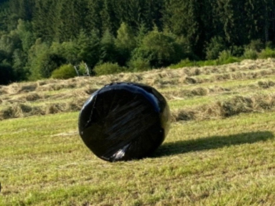 boules de préfane, Enlèvement ou Envoi