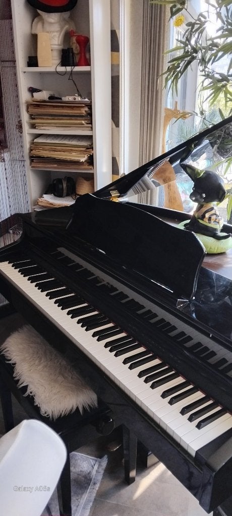 piano, Digital, Comme neuf, Enlèvement, Piano