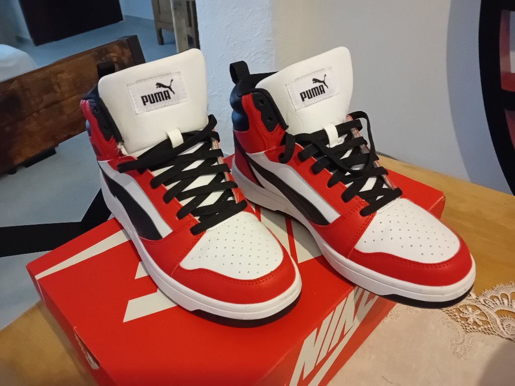BASKET HOMME, Neuf, Autres couleurs, Enlèvement, Baskets