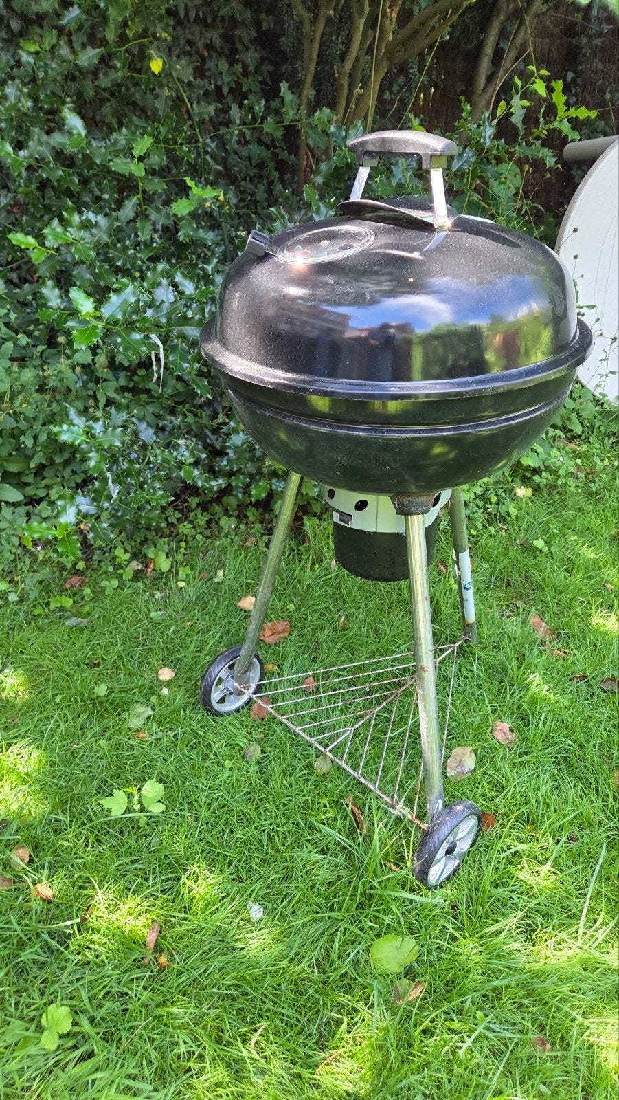 Barbecue boule