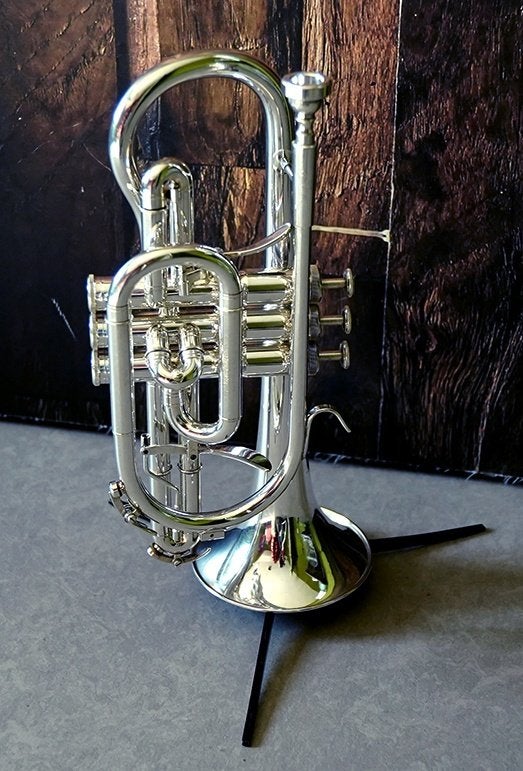 Willson Bb Cornet Celebration 421, Muziek en Instrumenten, Ophalen of Verzenden, Zo goed als nieuw, Trompet in si bemol, Met koffer