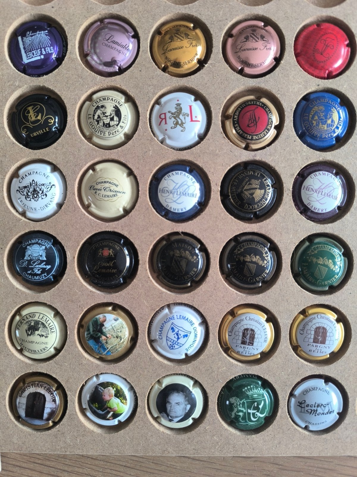 30 verschillende Champagne capsules met de letter L (11), Ophalen of Verzenden