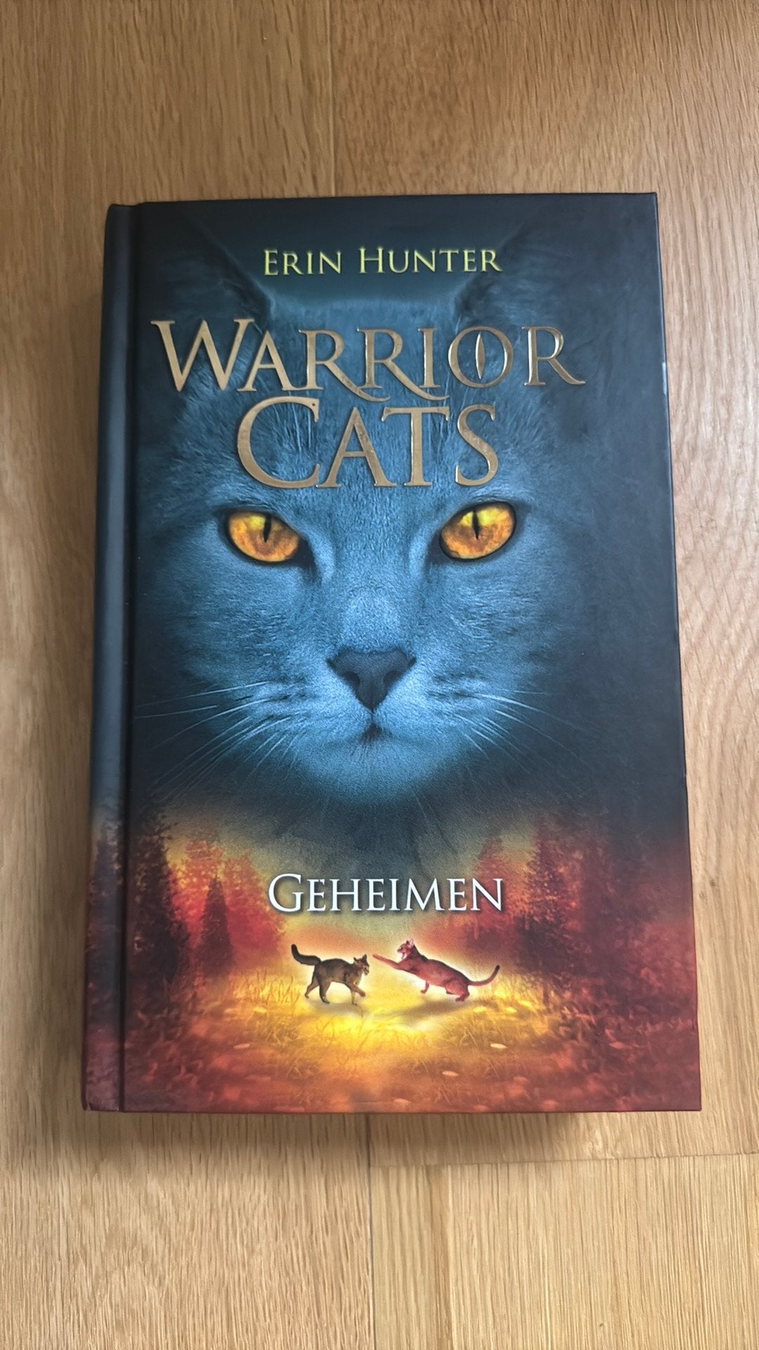 Warrior Cats (geheimen), Ophalen of Verzenden, Nieuw