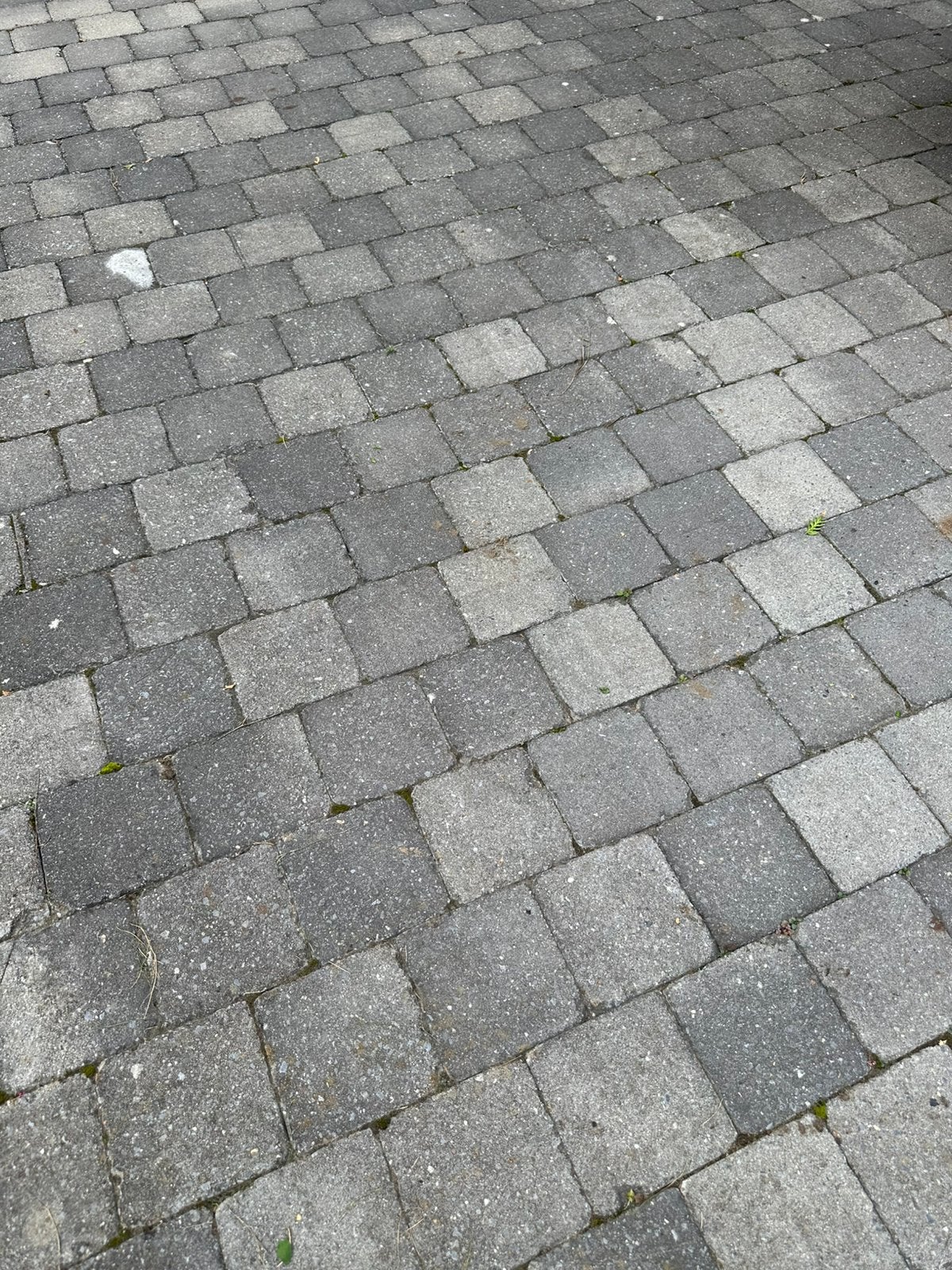 Pavés en béton gris/ klinkers gratuit, Enlèvement, Neuf, Béton