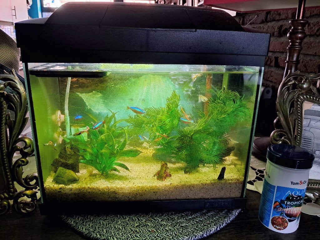Kleine aquarium, Dieren en Toebehoren, Ophalen, Gebruikt, Overige merken, Inclusief toebehoren