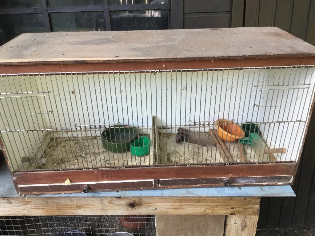 Kweek bakken 3 stuks, Dieren en Toebehoren, Vogels | Hokken en Kooien, Ophalen, Gebruikt, Hout, Vogelkooi