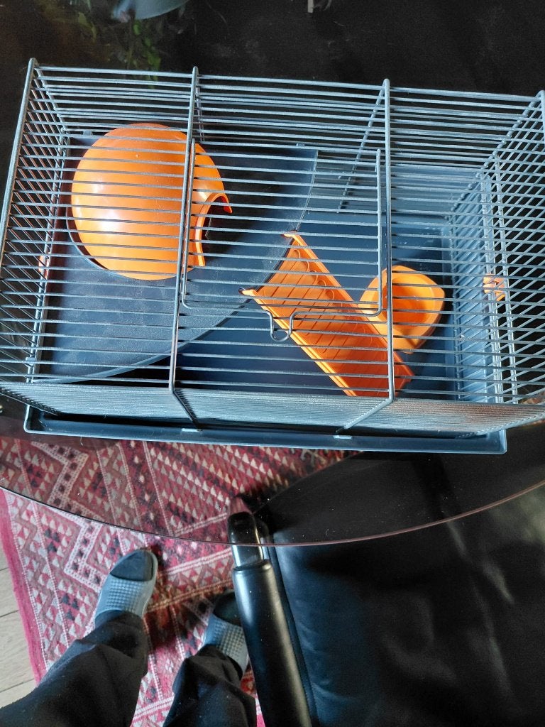 mooi hamster kooi in nieuwstaat met bijbehoren Indoor/Zoolux, Enlèvement, Cage, Hamster