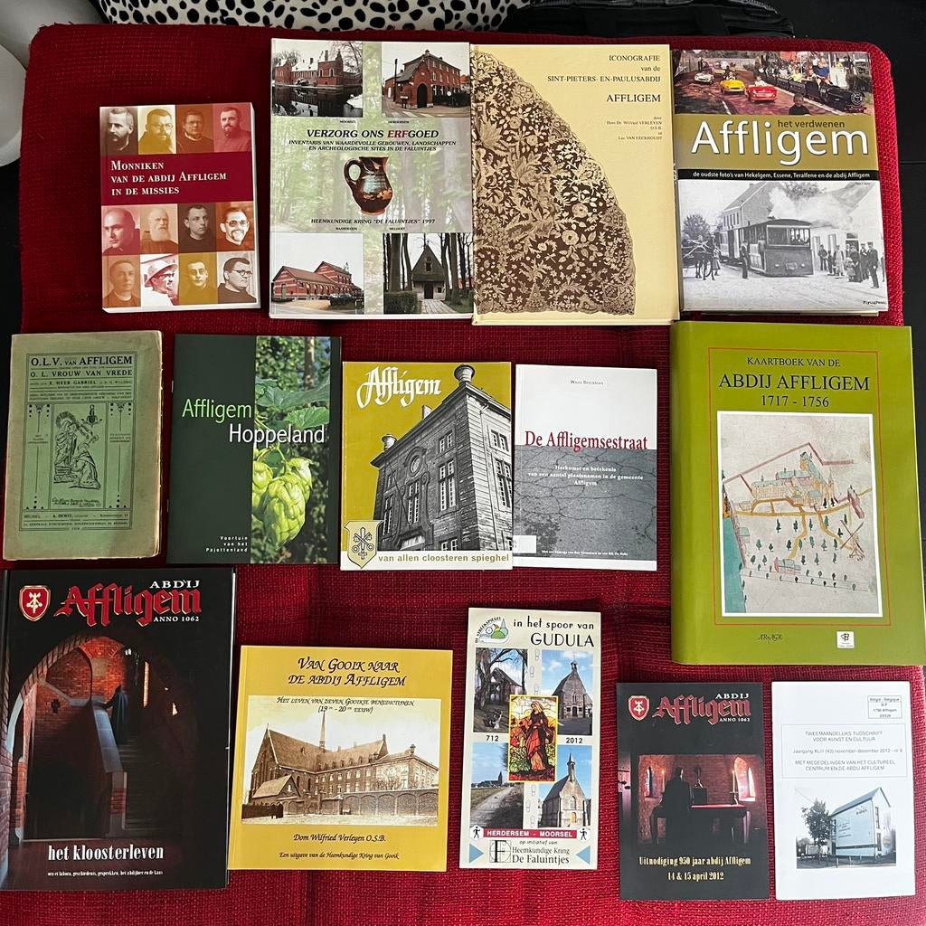 Boeken over Affligem, Boeken, Geschiedenis | Stad en Regio, Zo goed als nieuw, Ophalen of Verzenden