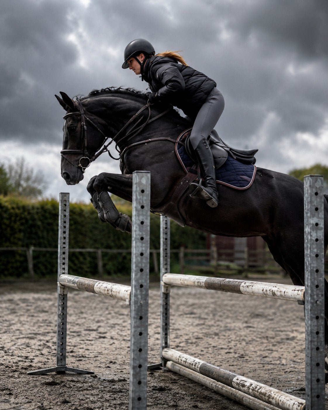 Jolanda van het Neremhof – lieve recreatiemerrie met topafst, Merrie, Met stamboom, L, 160 tot 165 cm