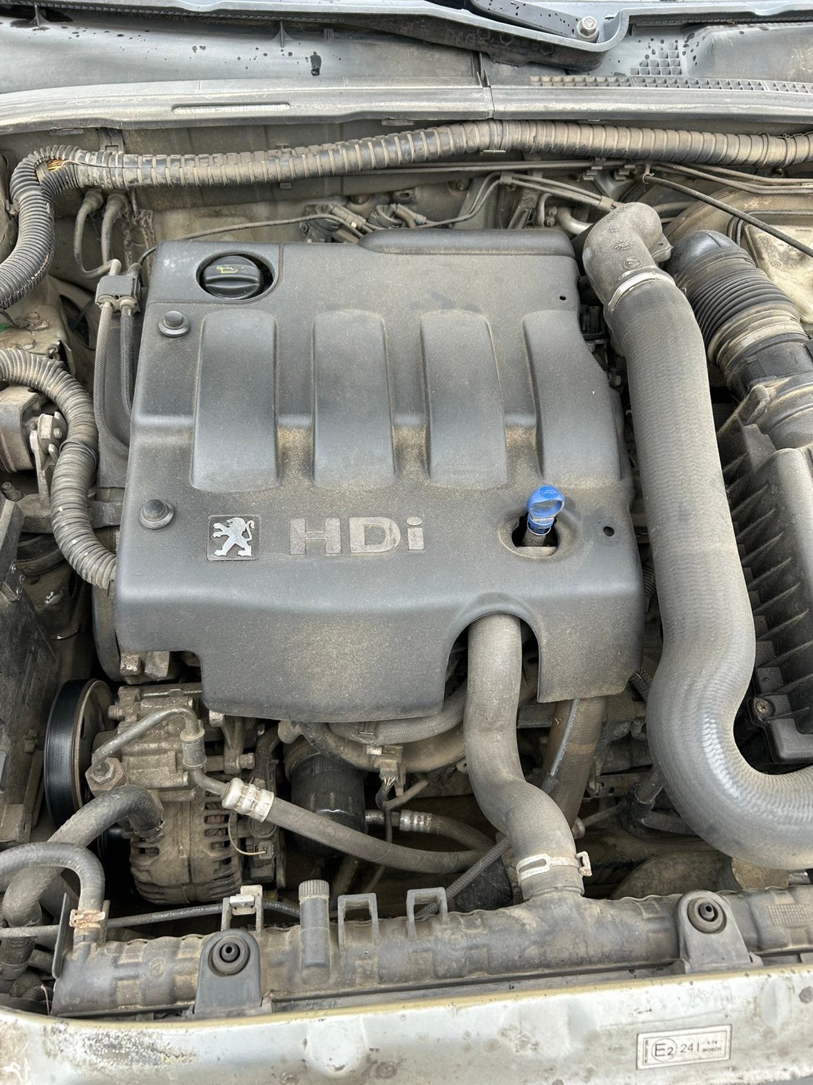 Peugeot 406, foto 10