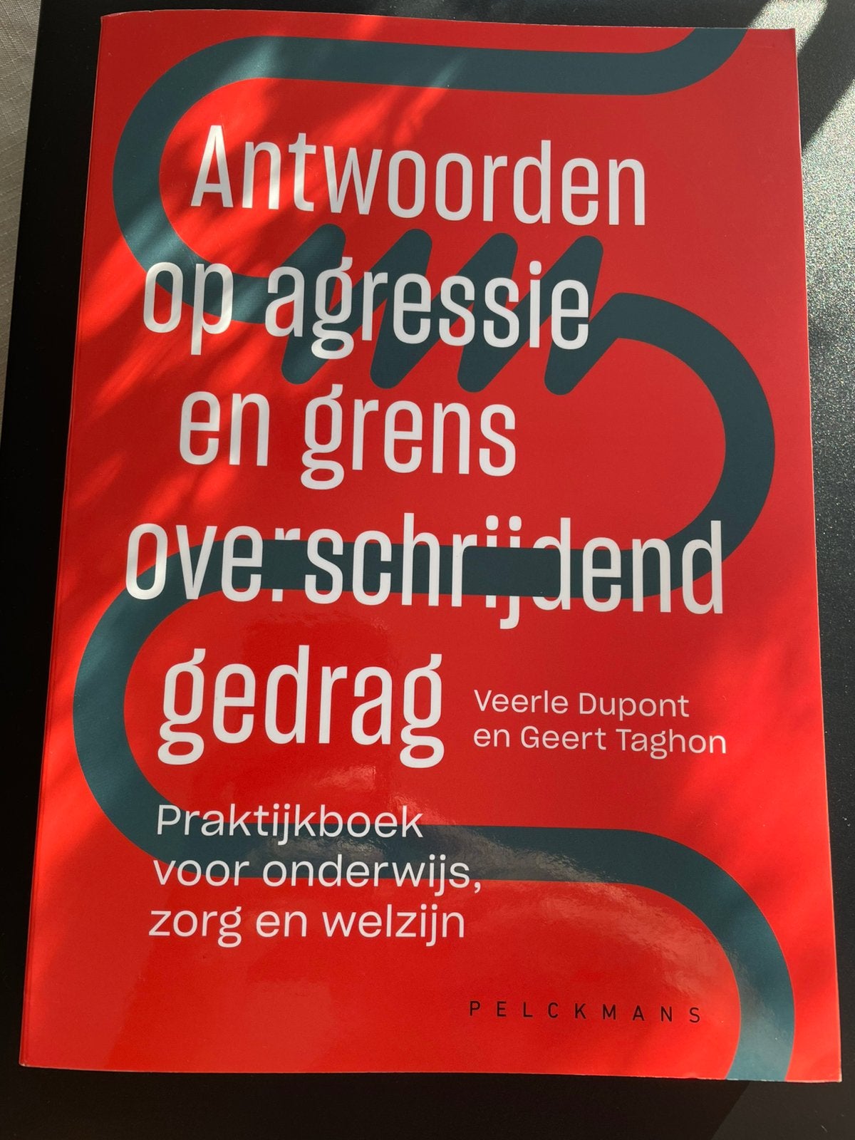 Antwoorden op agressie en grensoverschrijdend gedrag, Ophalen of Verzenden, Geert Taghon; Veerle Dupont