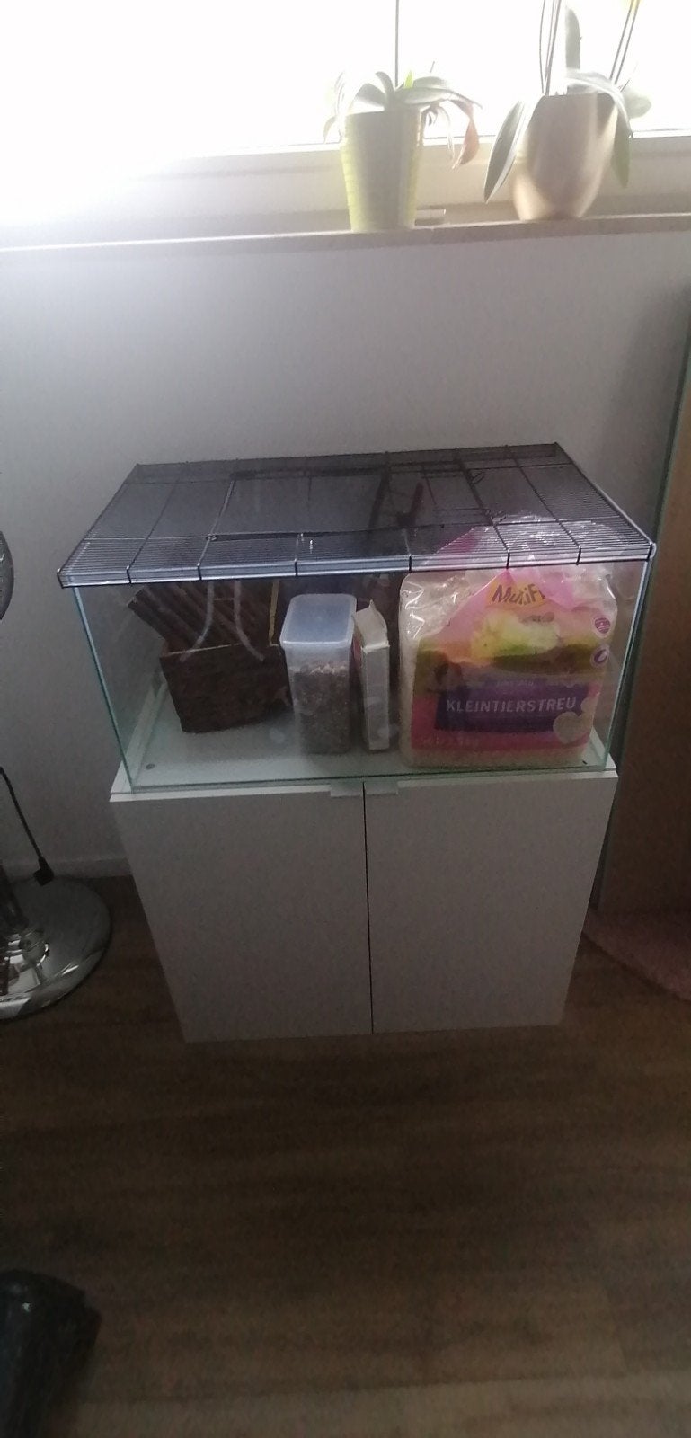 hamster kooi (glas), Enlèvement, Cage, Hamster