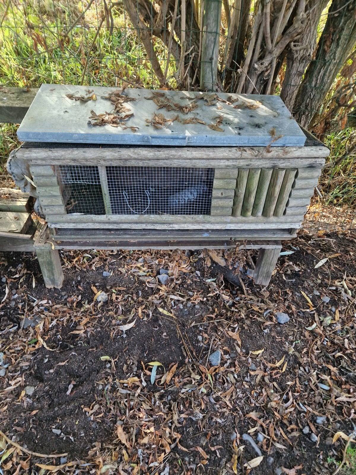 cavia of konijnhokje, Ophalen, Cavia