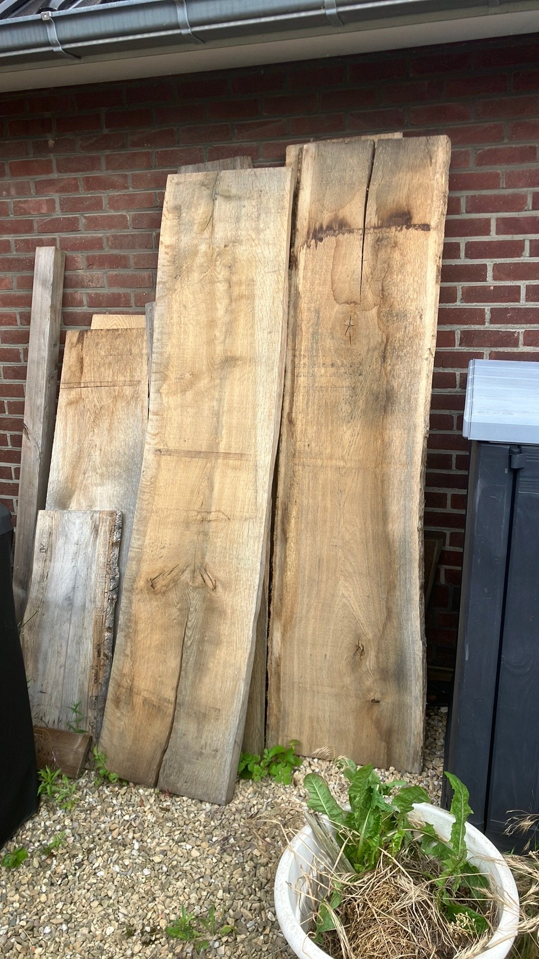 Franse eik te koop, Tuin en Terras, Ophalen, Zo goed als nieuw
