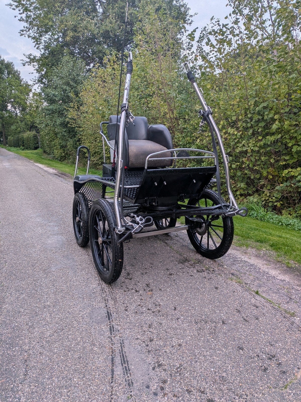 Van den heuvel marathonwagen, Dieren en Toebehoren, Marathonwagen, Pony