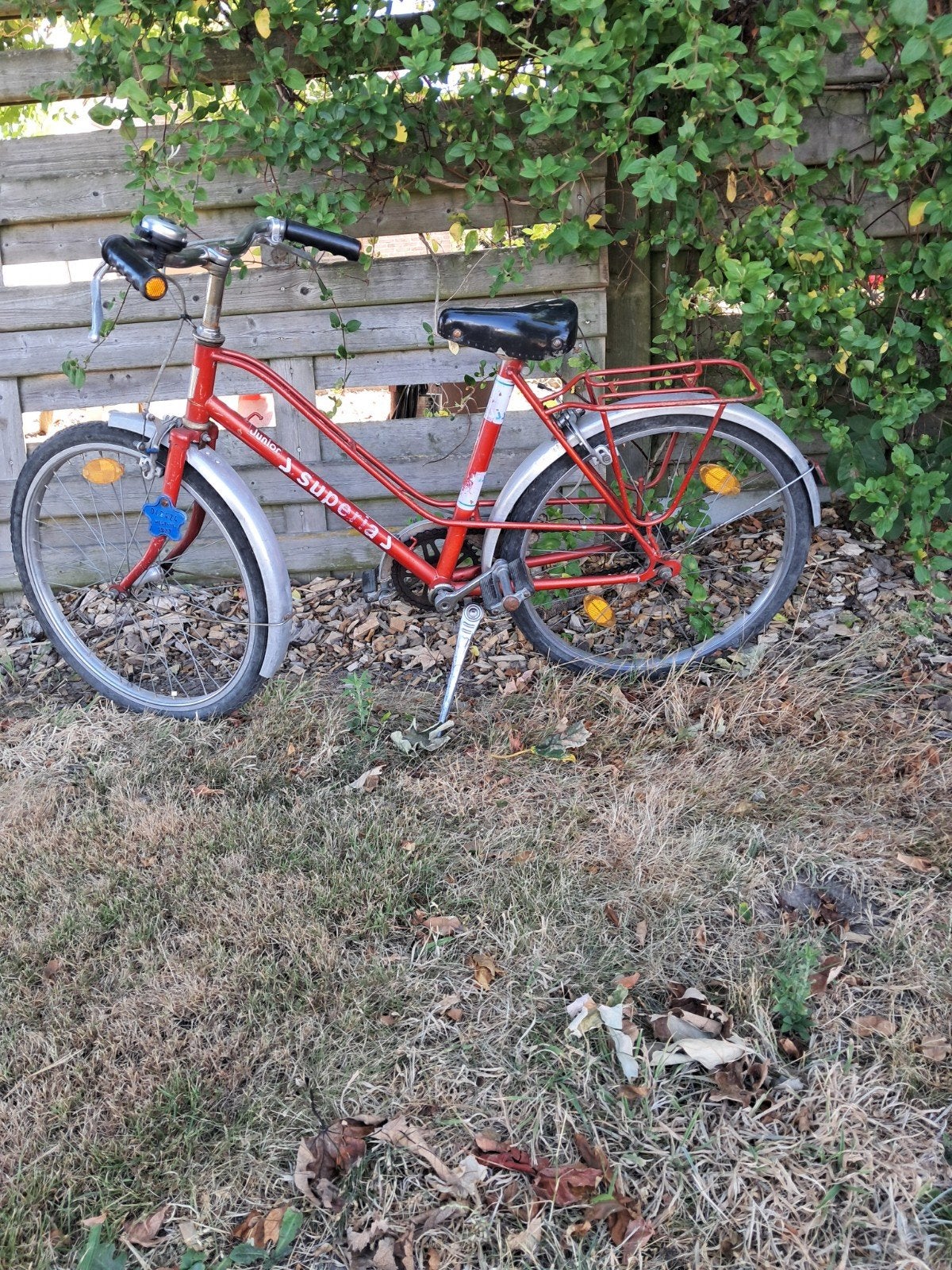 meisjesfietsen, Enlèvement