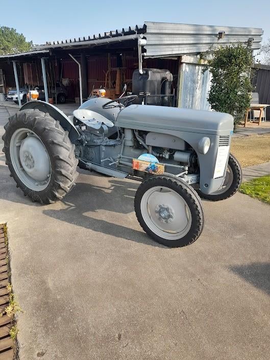 oldtimer tractor Ferguson TED20, Enlèvement, Utilisé