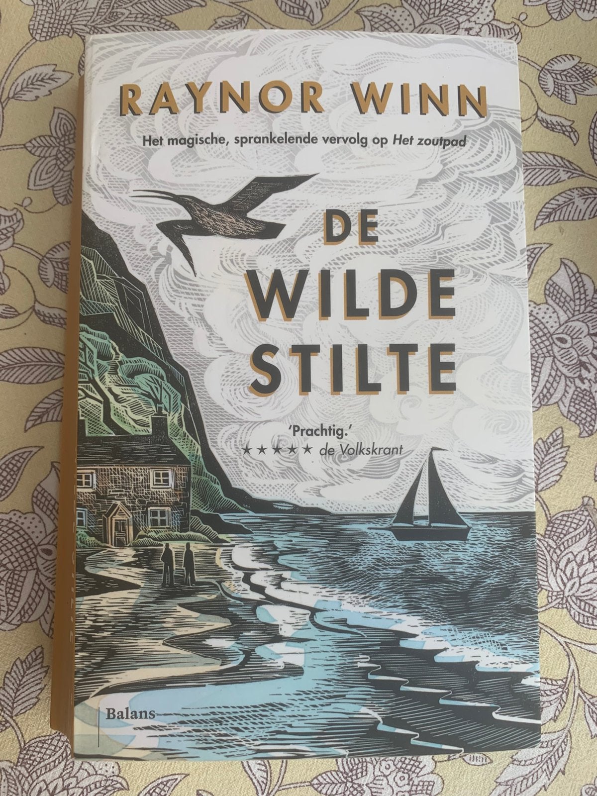 Raynor Winn - de wilde stilte, Boeken, Reisverhalen, Ophalen