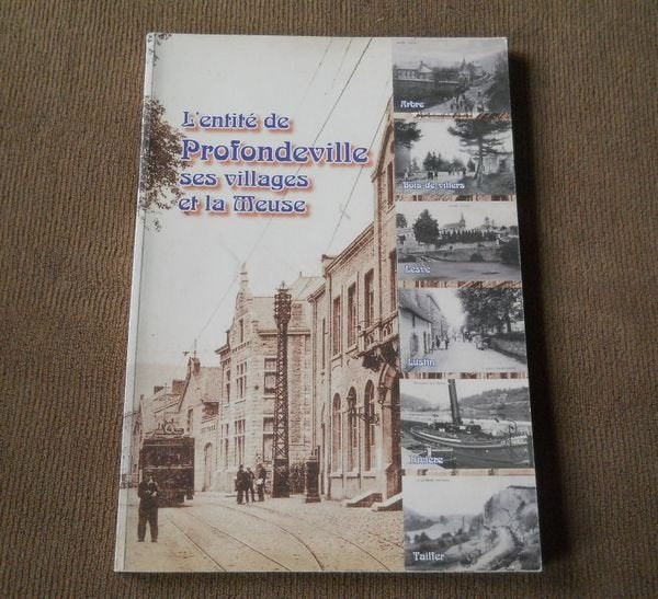 L' entité de Profondeville ses villages et la Meuse, Verzamelen, Postkaarten | België, Ophalen of Verzenden, Namen