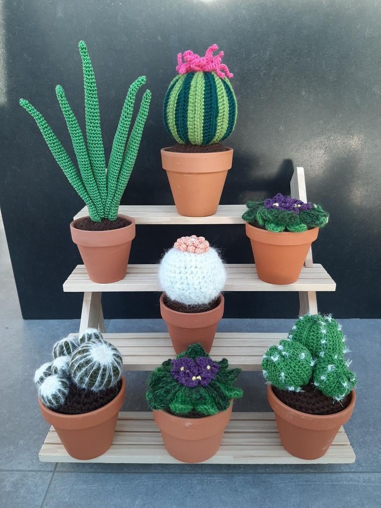 Grote cactussen en gehaakte planten, Haken
