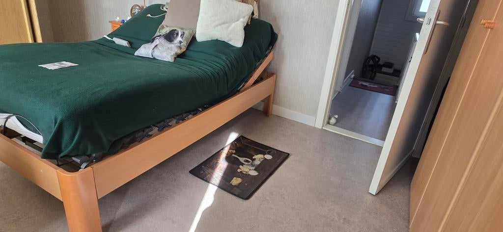 Elektrisch bed 140 op 2M10 met matras, Ophalen