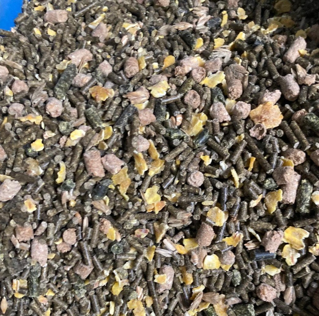 schapenkorrel en muesli
