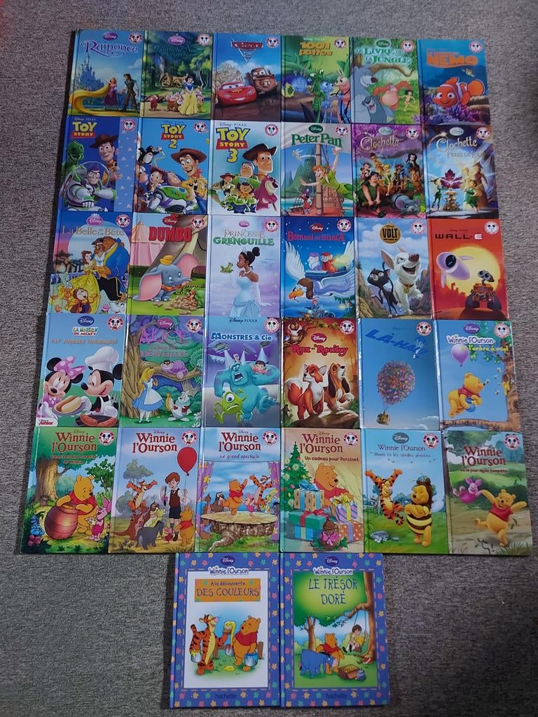 Lot livres Disney, Livres, Enlèvement