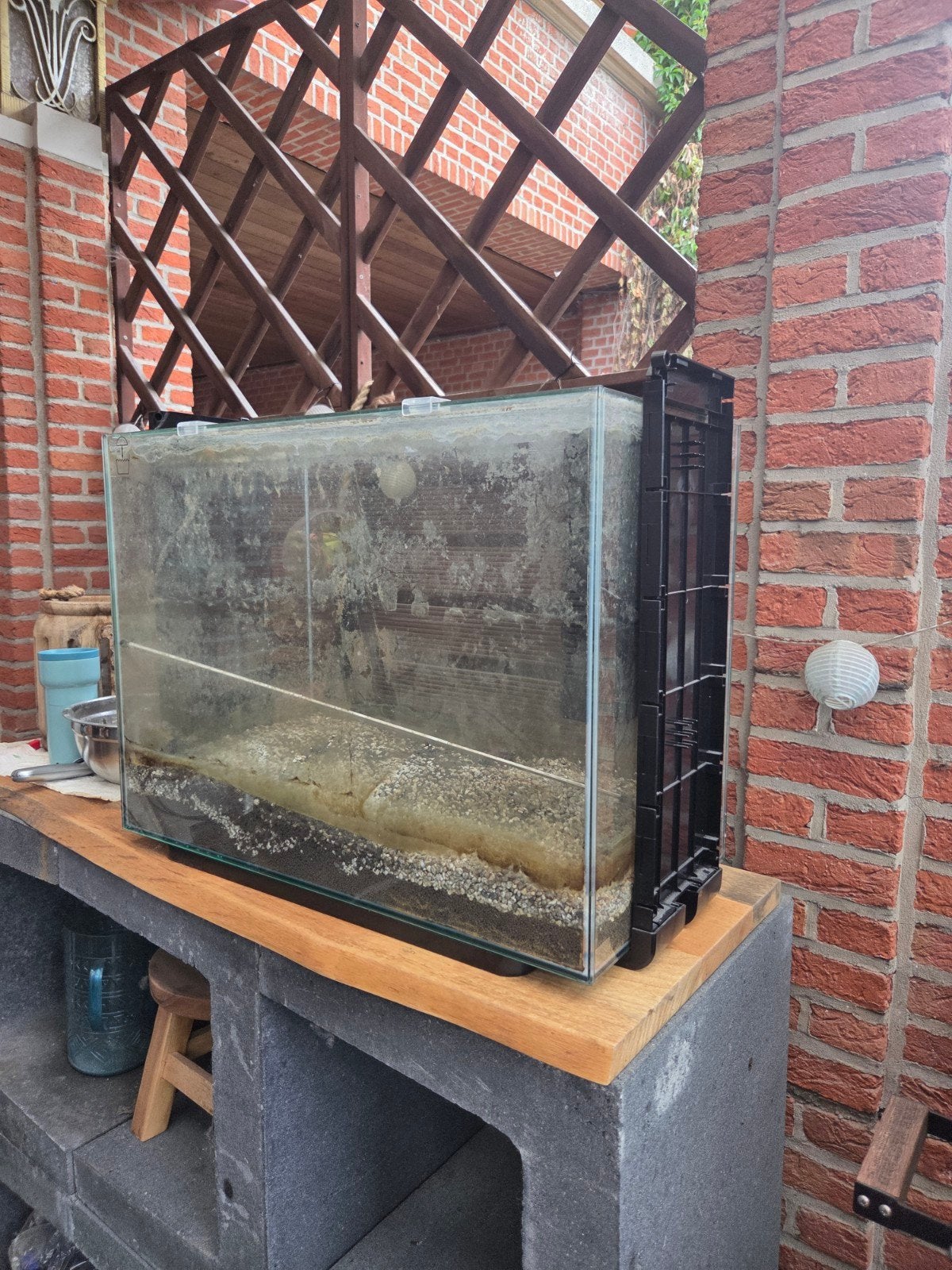 GRATIS: aquarium, Animaux & Accessoires, Poissons | Aquariums & Accessoires, Enlèvement