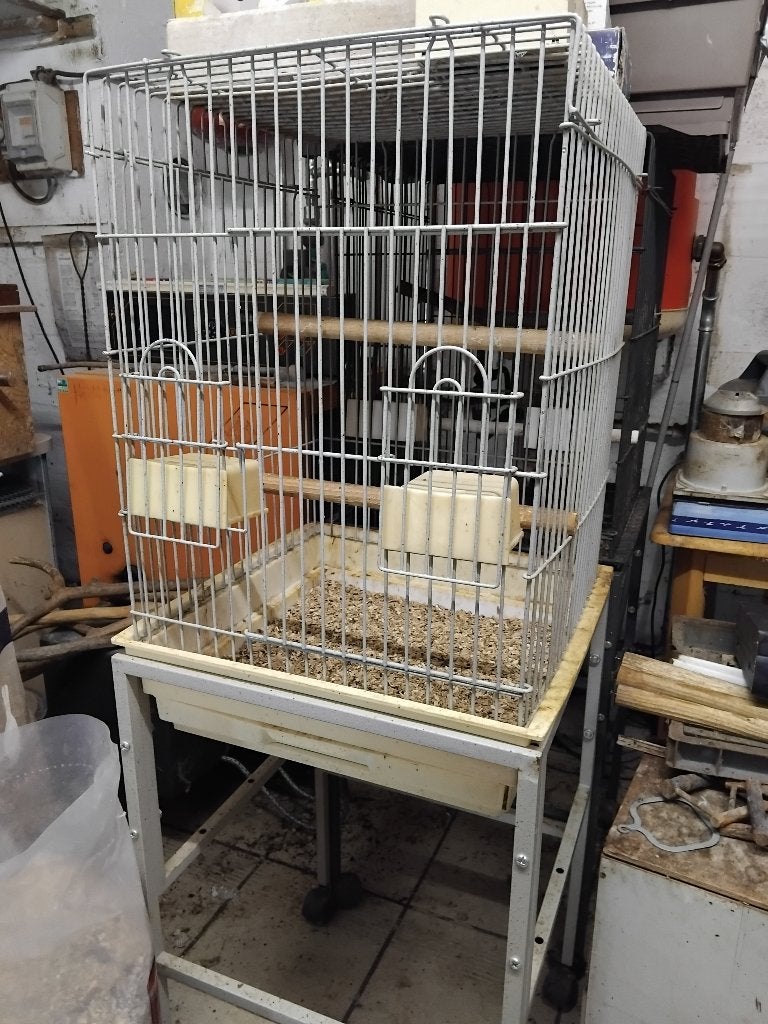 Cage sur pied, Enlèvement, Utilisé, Métal, Cage à oiseaux