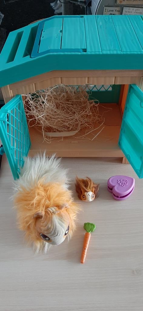 Live pets mama surprise cavia, Ophalen