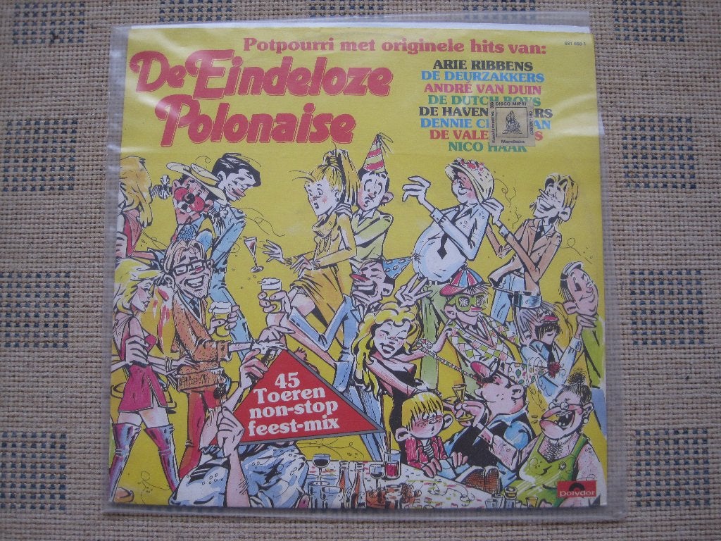De eindeloze Polonaise, CD & DVD, Vinyles | Autres Vinyles, Enlèvement ou Envoi, Utilisé, Housse de protection extérieure, LP