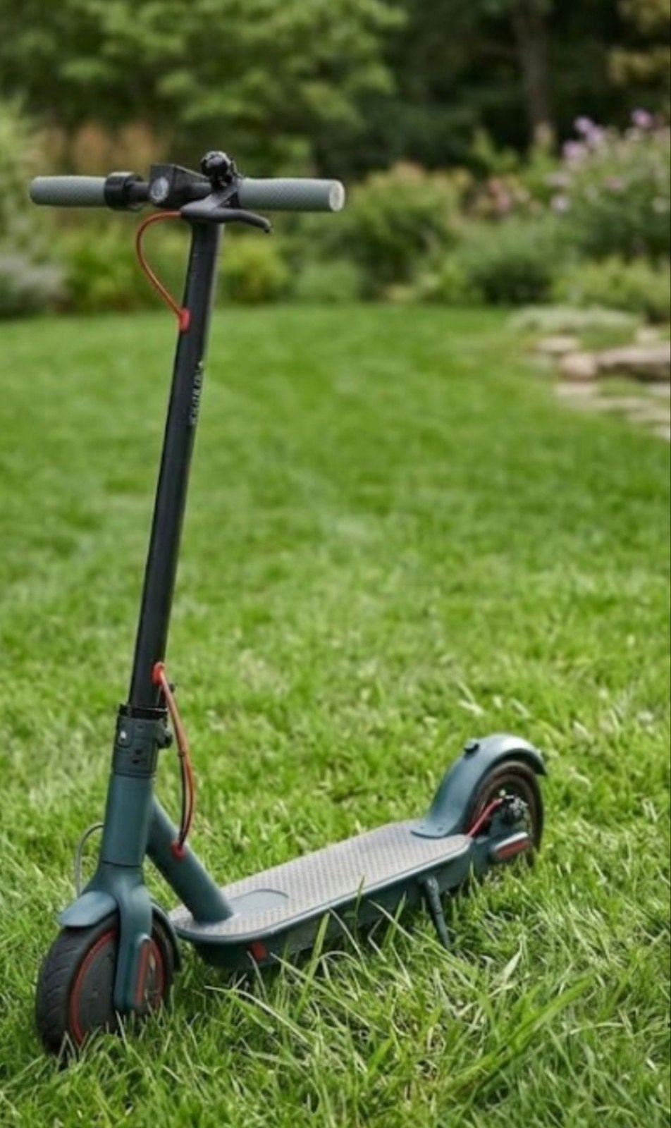 trotinette électrique, Enlèvement