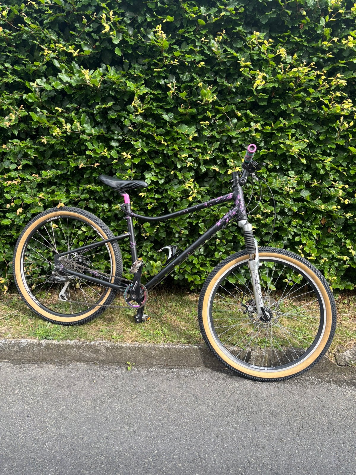 Unieke Stoere dames / meisjes MTB, Fietsen en Brommers, Ophalen, Zo goed als nieuw, Dames