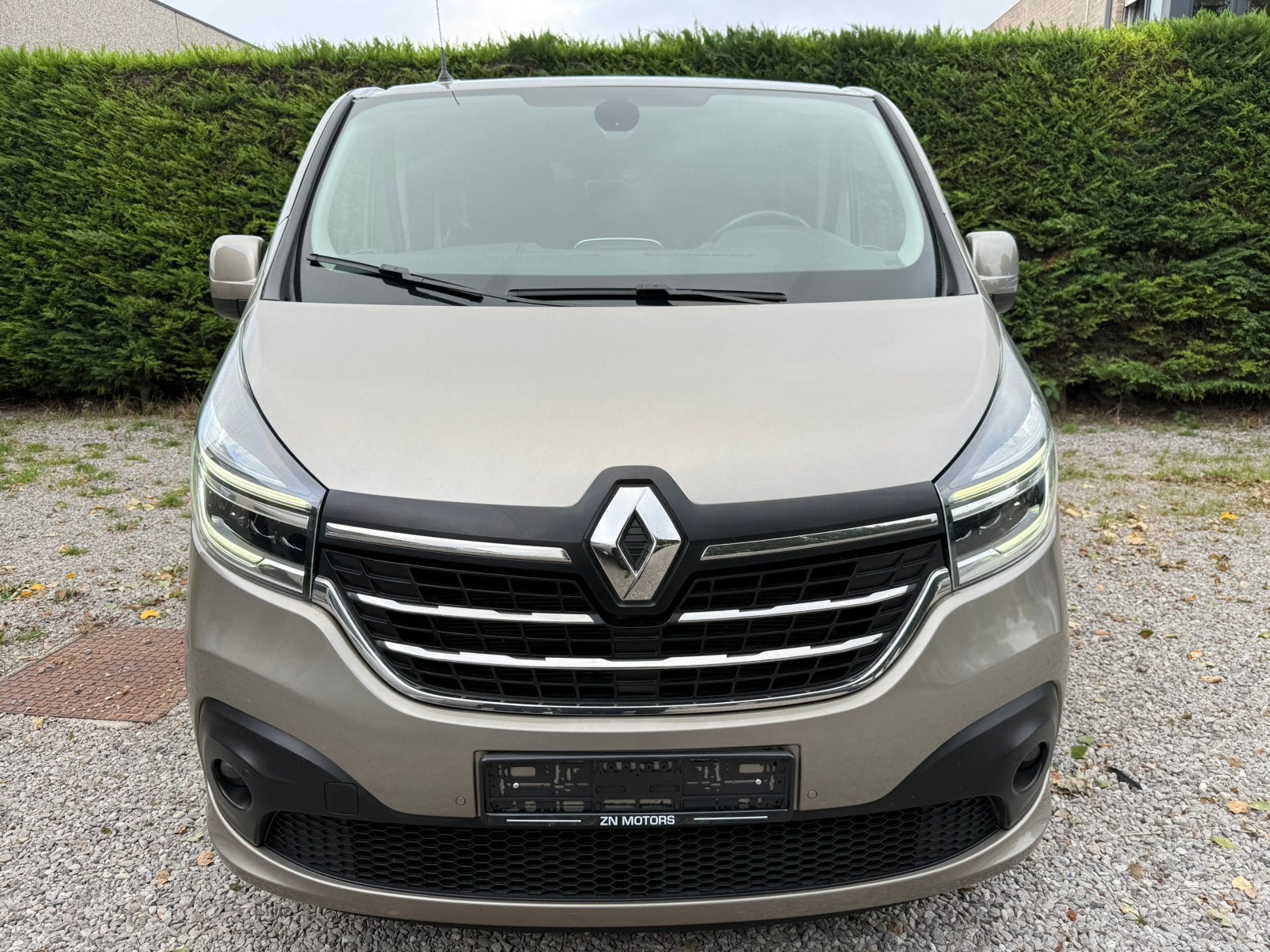 Renault Trafic 2.0 bleu DCI Automatic, Autos, Camionnettes & Utilitaires, Cuir, Achat, 6 portes, Euro 6