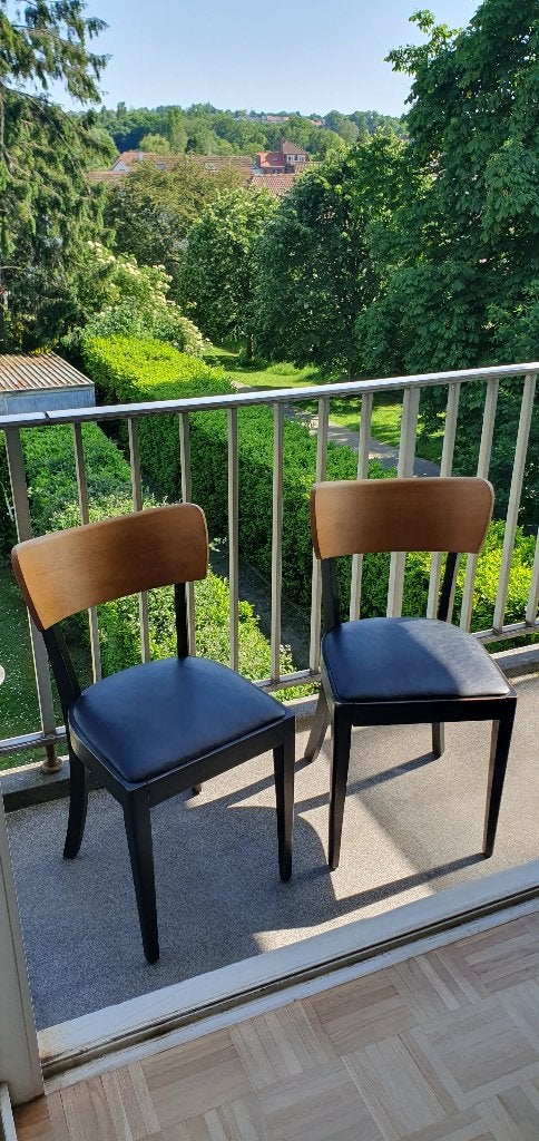 Paire de chaises salon/cuisine, Bois, Deux, Enlèvement, Utilisé