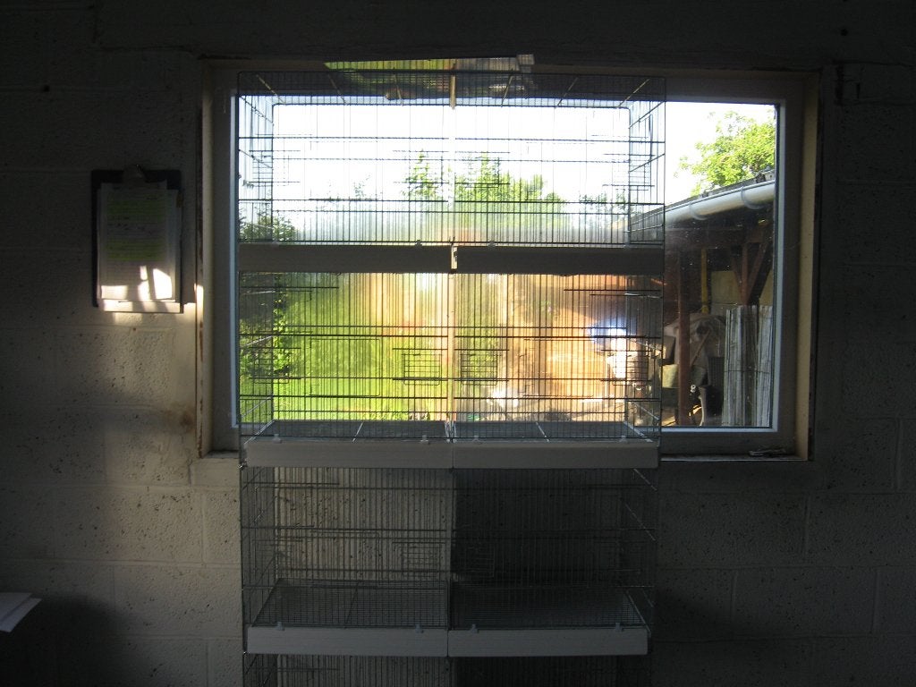 cage, Dieren en Toebehoren, Vogels | Hokken en Kooien, Ophalen, Zo goed als nieuw, Overige materialen, Broedkooi of Kweekkooi