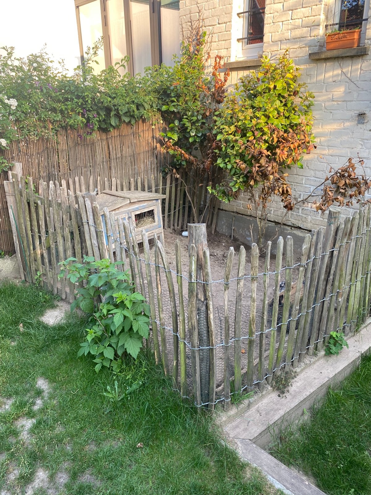 2 konijnen + omheining, Jardin & Terrasse, Palissades, Comme neuf, Enlèvement