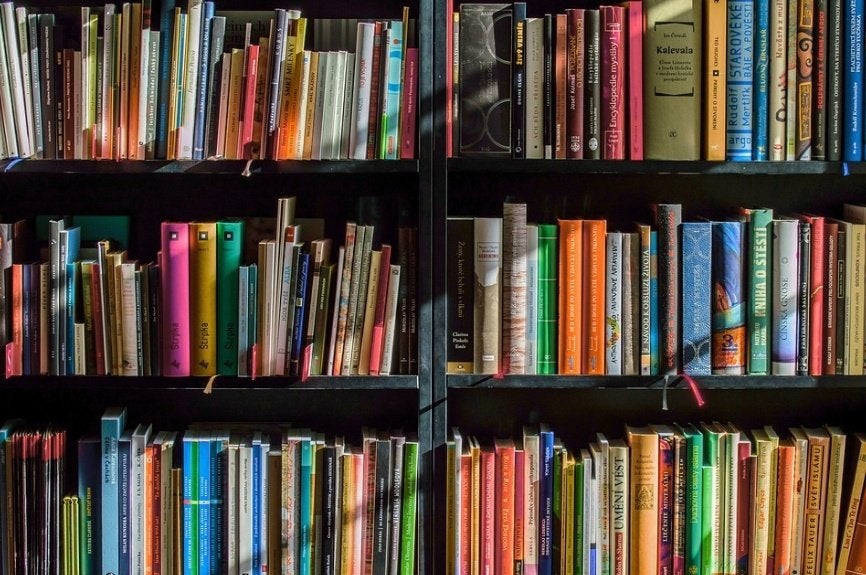 Opkoper boeken (en strips, dvd, cd) - ik koop boeken, Enlèvement, Utilisé, Différents sujets