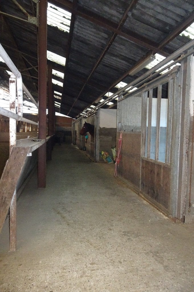 1 stal vrij te Wolfsdonk, Mise à l'étable, 1 cheval ou poney