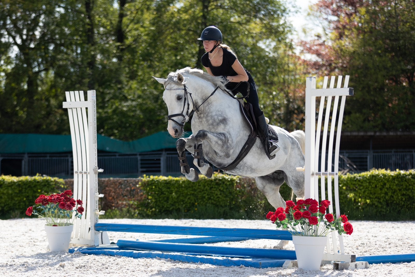 Ruiter gezocht, Dieren en Toebehoren, Paarden en Pony's | Overige Paardenspullen, Ophalen