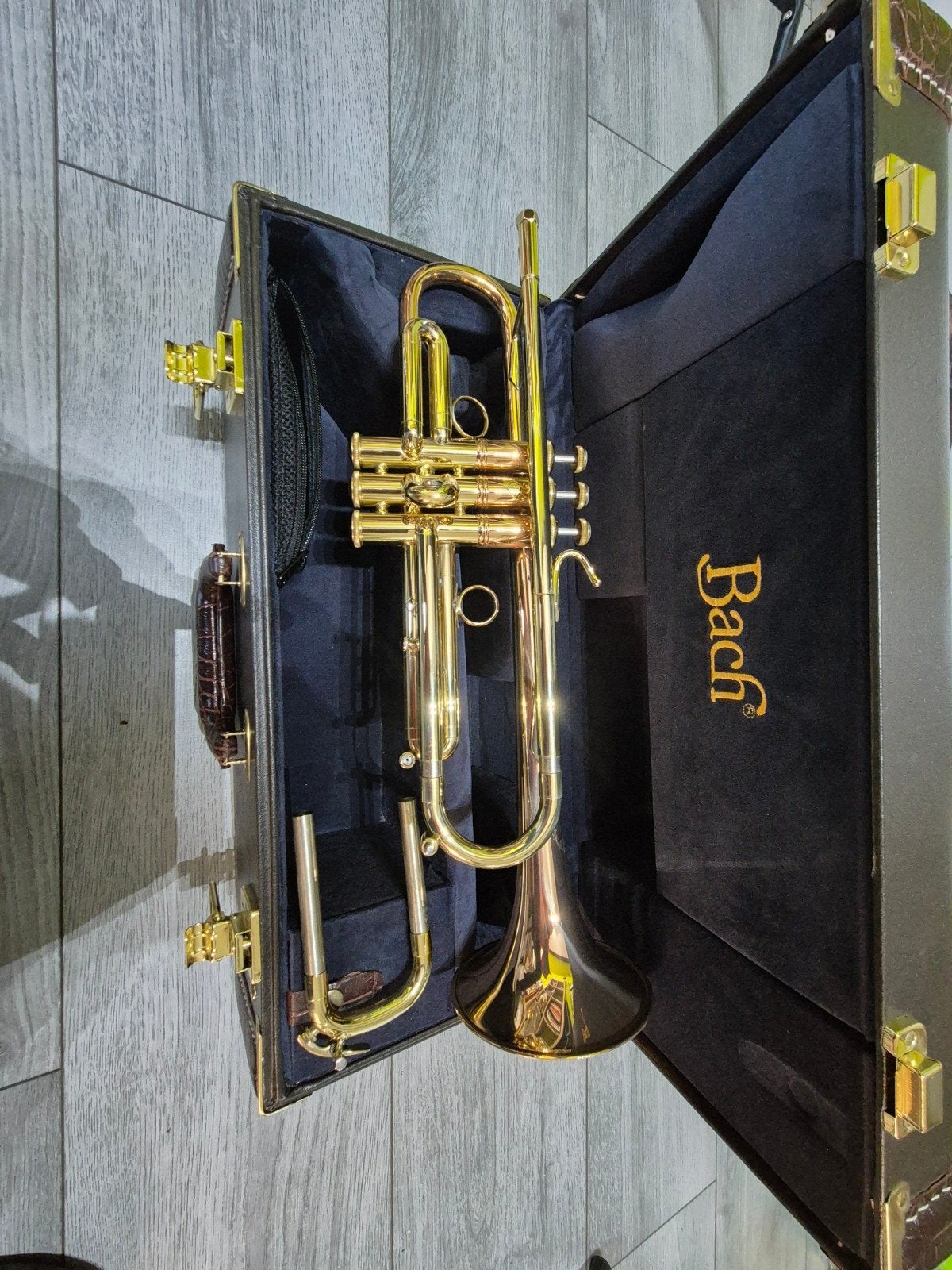 Bach stradivarius lt190 1b, Musique & Instruments, Enlèvement, Comme neuf, Trompette en si bémol, Avec valise