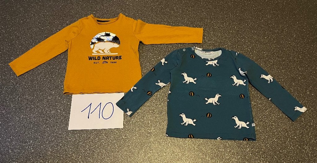 T-shirts maat 110 (2 stuks), Kinderen en Baby's, Ophalen, Jongen