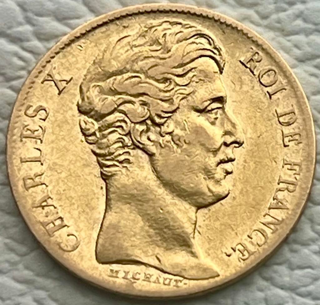 Pièce 20 Francs Or Charles X 1828 A, Enlèvement ou Envoi, Or