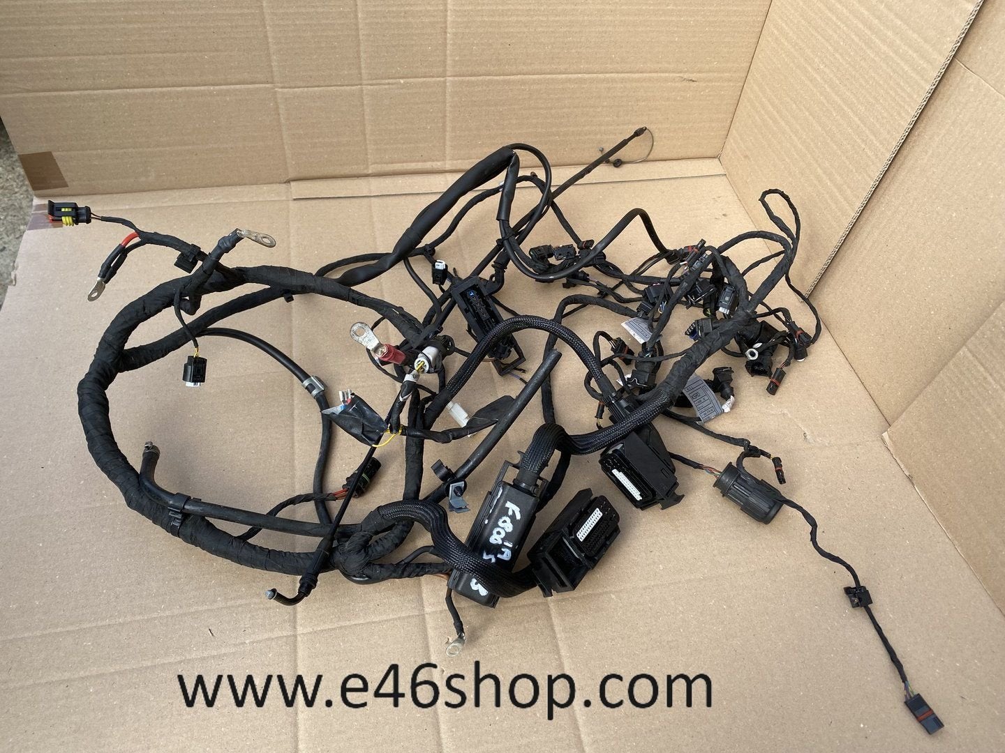 Kabelboom BMW F800S JAAR 2008, -, Utilisé, -, -