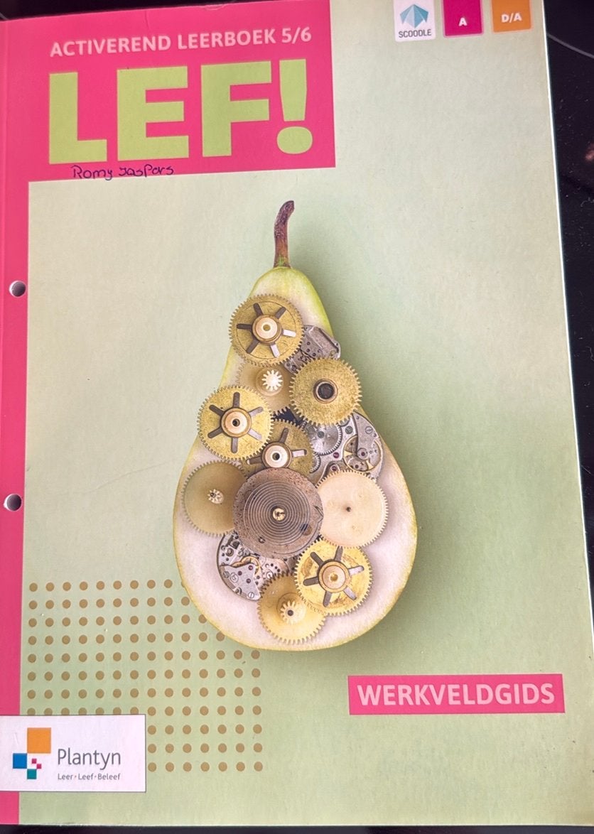 LEF! Activerend leerboek 5/6 – Werkveldgids – Plantyn, Boeken, Ophalen of Verzenden